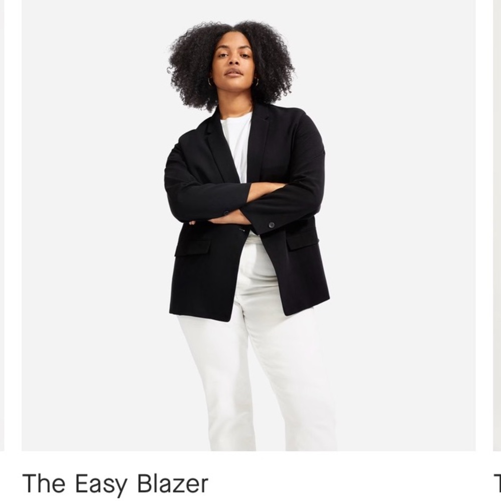 Everlane the easy blazer